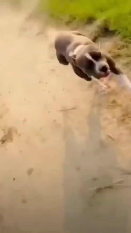 TikTok video thumbnail by kbrawal0