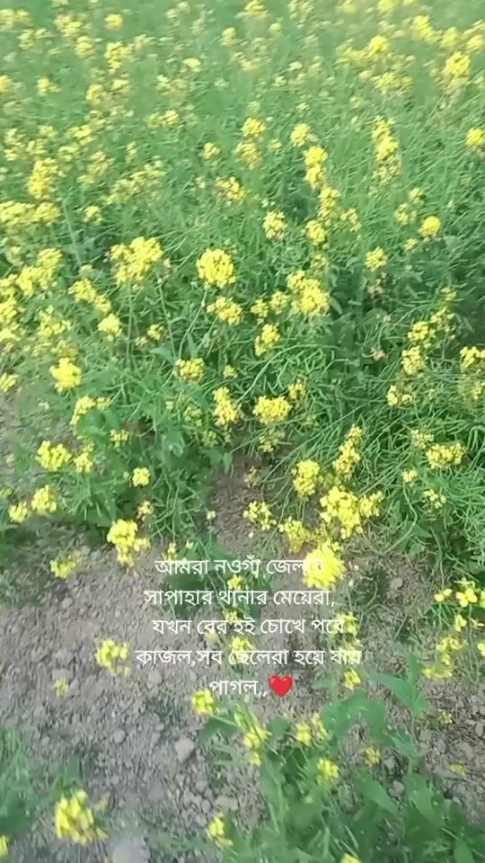 TikTok video thumbnail by water.lily742