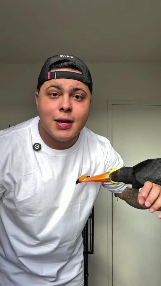 TikTok video thumbnail by fluxo_wallace