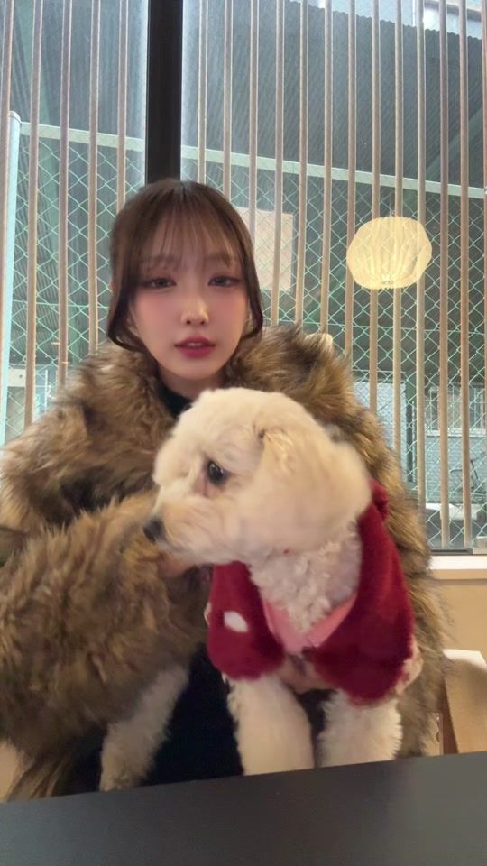 TikTok video thumbnail by risapyondesu_