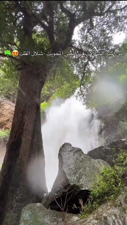 TikTok video thumbnail by radmen2020
