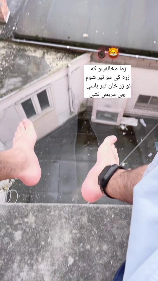 TikTok video thumbnail by zalfo24
