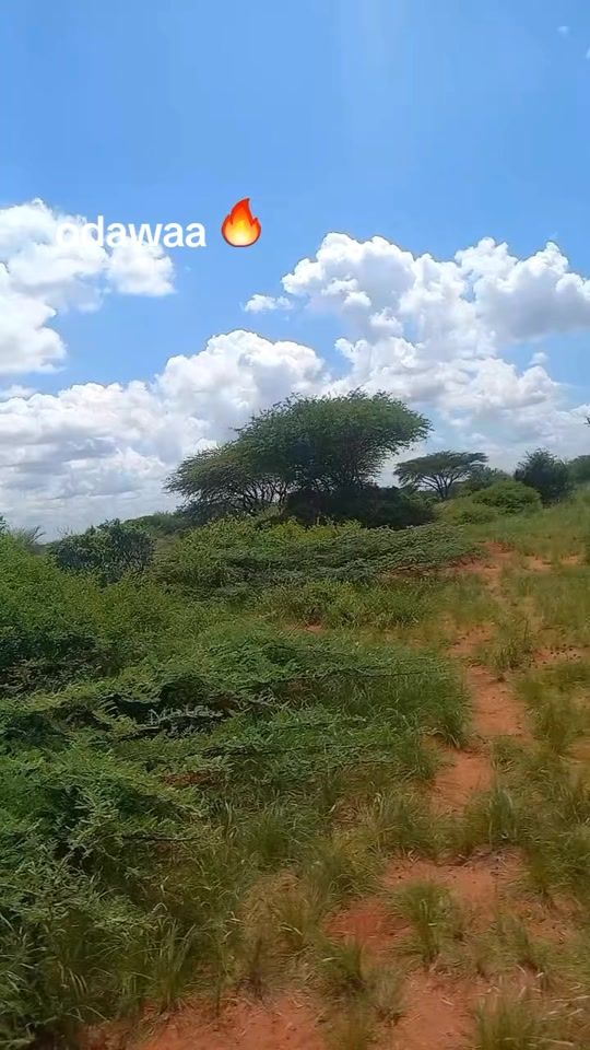 TikTok video thumbnail by sidiiq_aftaag