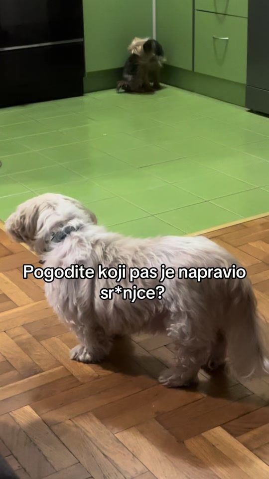 TikTok video thumbnail by sarasimpraga