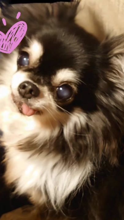 TikTok video thumbnail by shoko5131