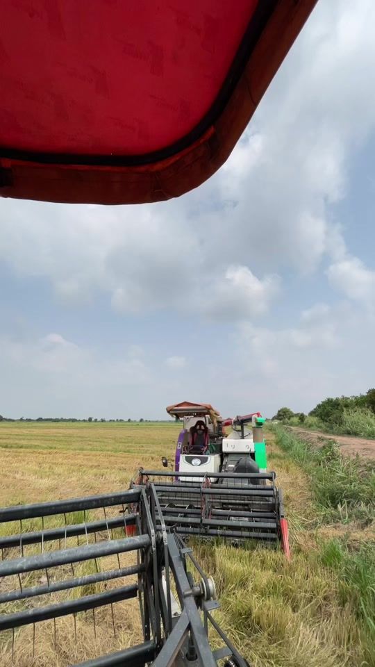 TikTok video thumbnail by bol___singie