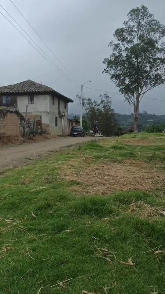 TikTok video thumbnail by pasionporloscaballos05
