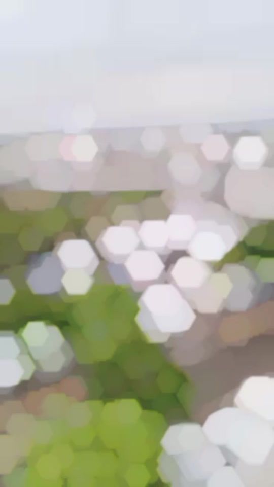 TikTok video thumbnail by sattibrand81