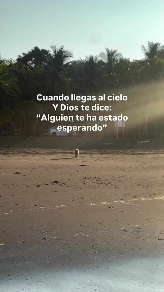 TikTok video thumbnail by amalfi_rd1