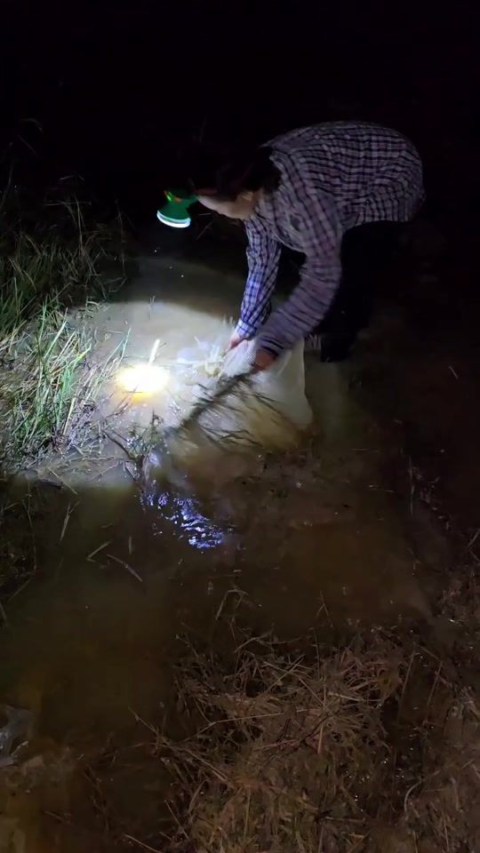 TikTok video thumbnail by sabaycr.7