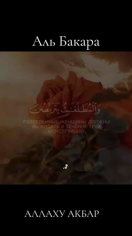 TikTok video thumbnail by kakashka_7777