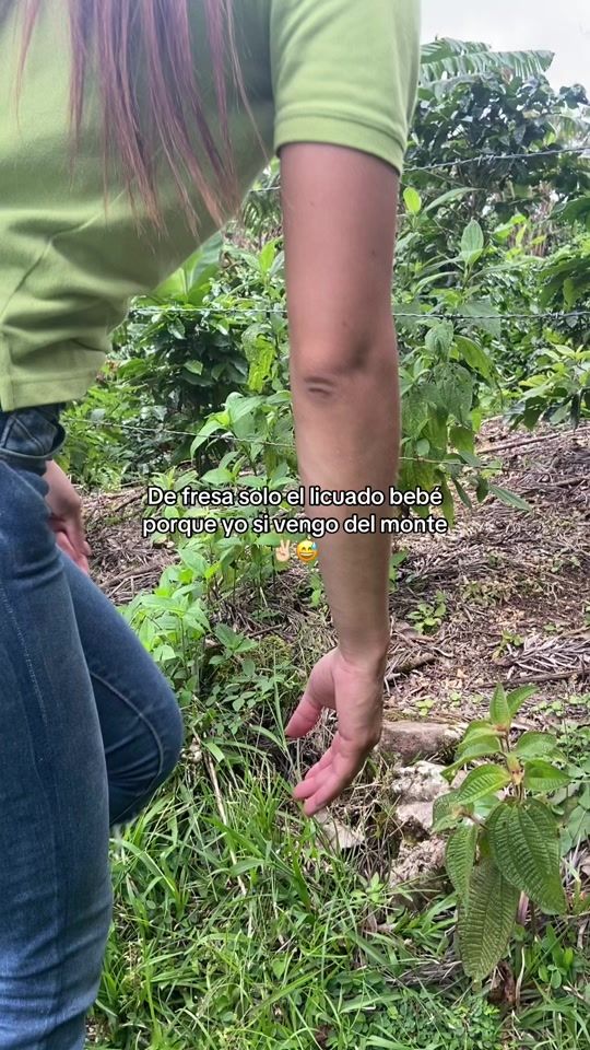 TikTok video thumbnail by maryestevez4x4