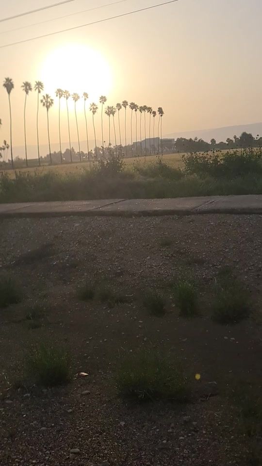 TikTok video thumbnail by esaamshofany