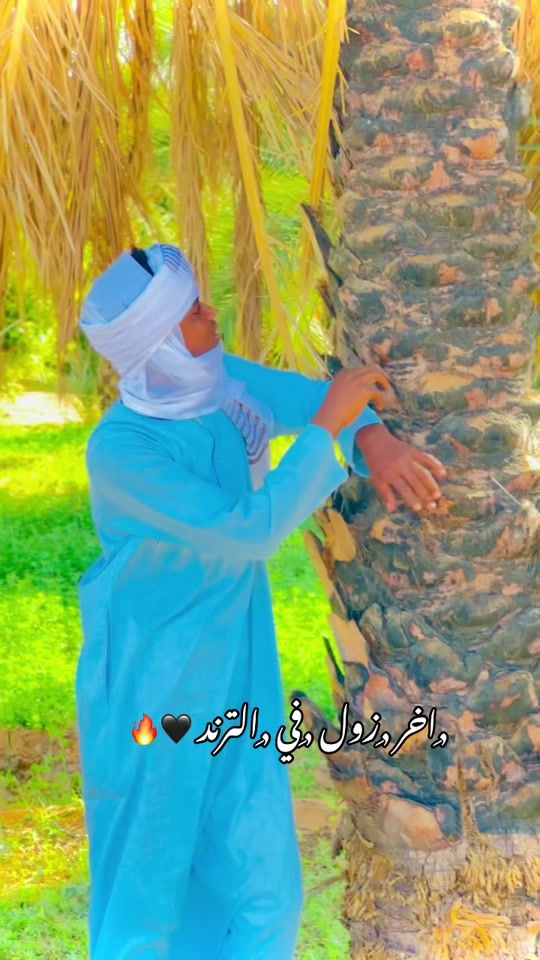 TikTok video thumbnail by ali_abdallah_01