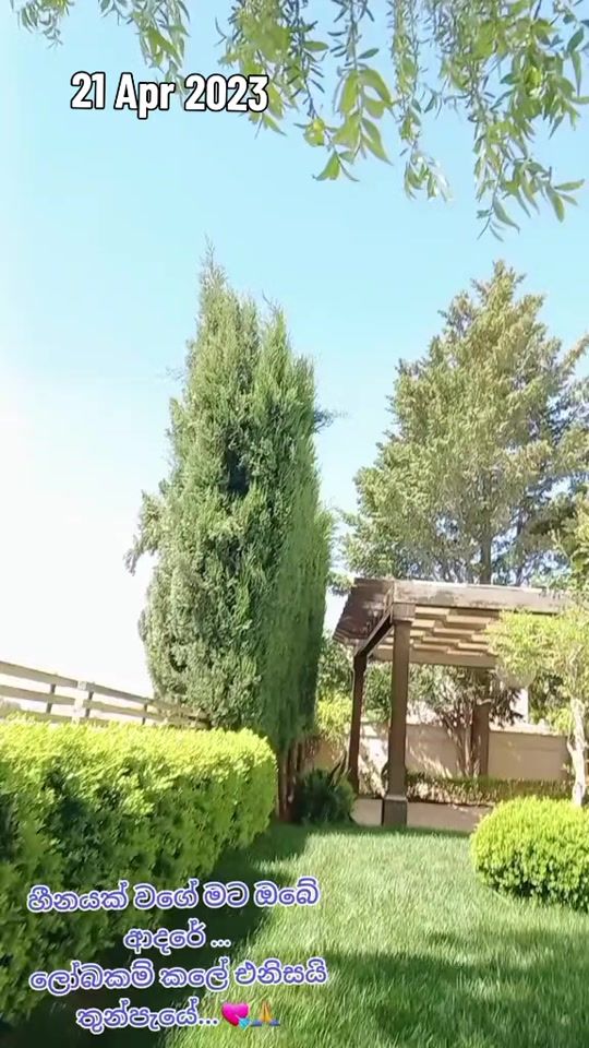 TikTok video thumbnail by indranigunathilak