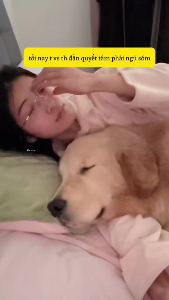TikTok video thumbnail by lieu2710