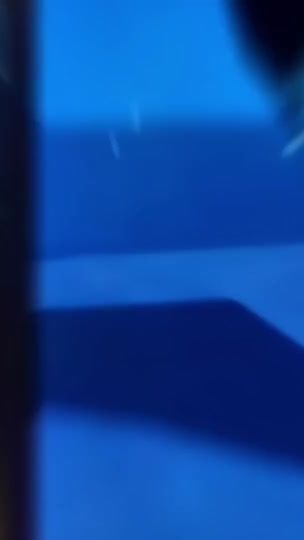 TikTok video thumbnail by bandit_vn1