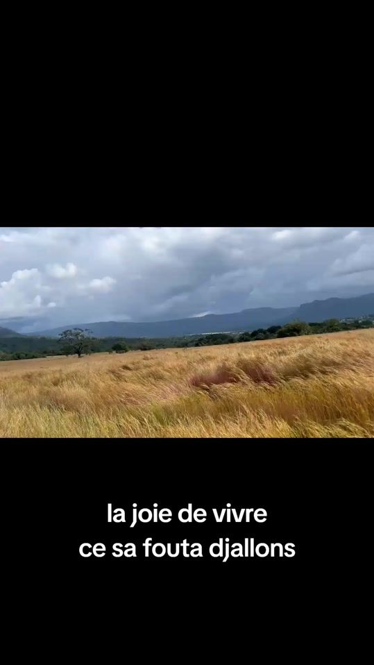 TikTok video thumbnail by sallthiaguelbory