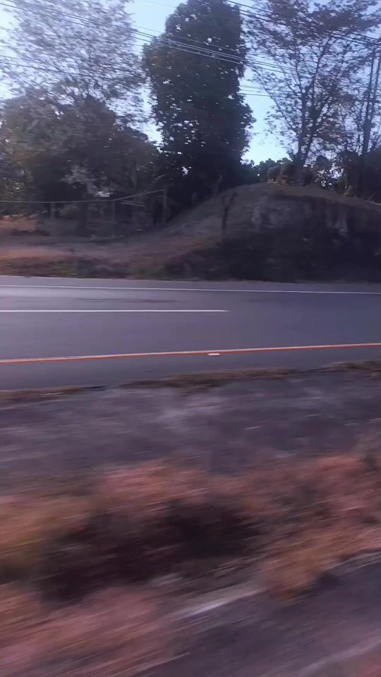 TikTok video thumbnail by lovernacular10