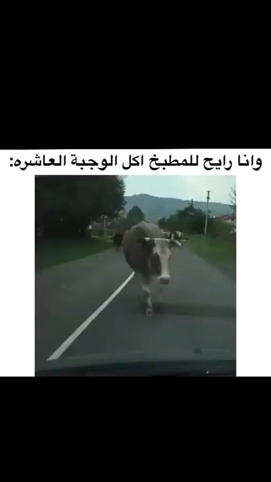 TikTok video thumbnail by 2ik9