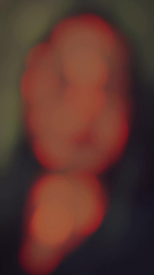 TikTok video thumbnail by ameljo21