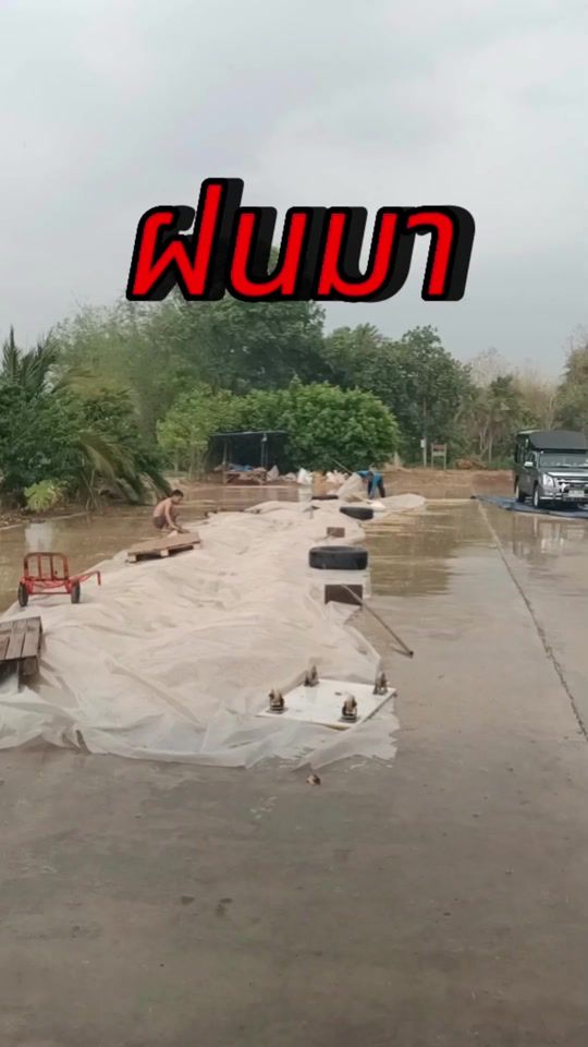 TikTok video thumbnail by radafarm