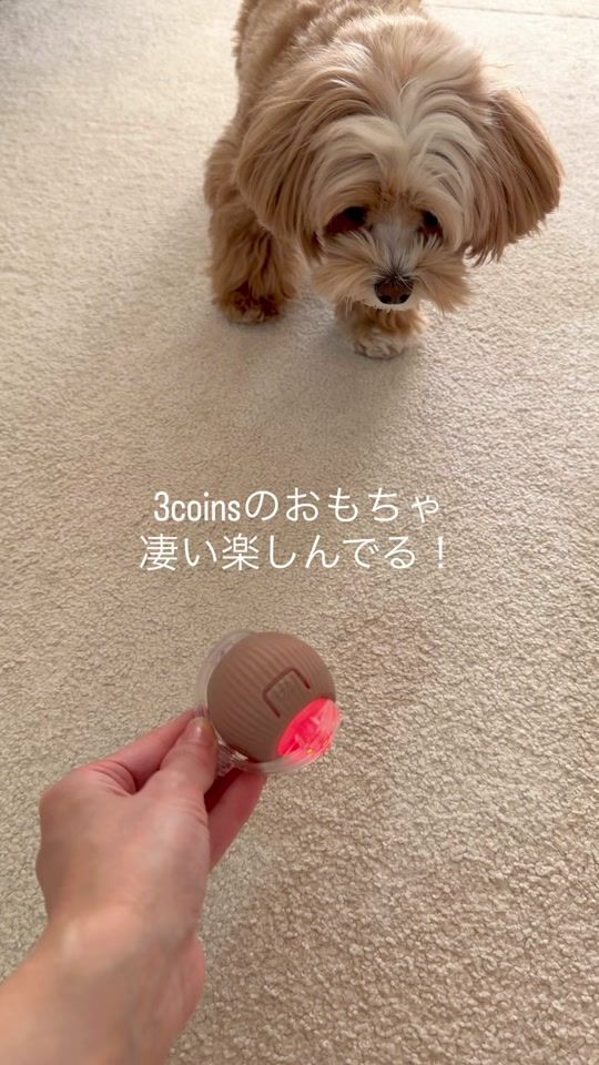 TikTok video thumbnail by chacha_marupoo