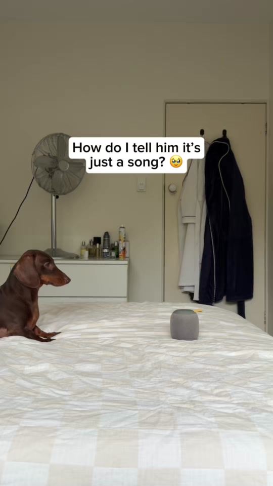 TikTok video thumbnail by darcyanddad