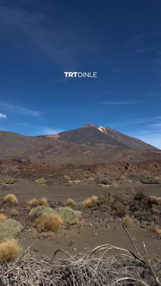 TikTok video thumbnail by trtdinle