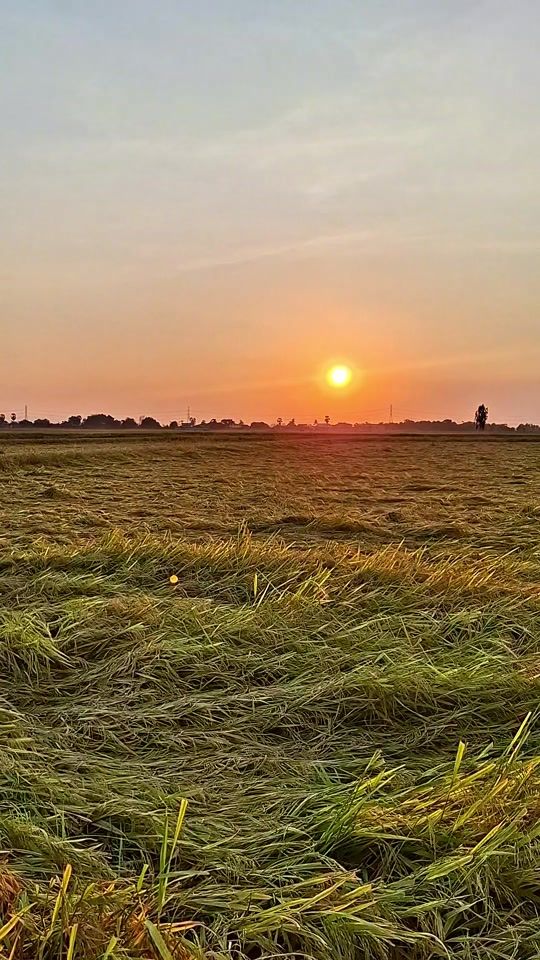 TikTok video thumbnail by noom.phalangsattha