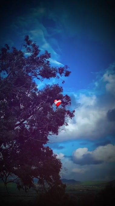 TikTok video thumbnail by rayen.tn09