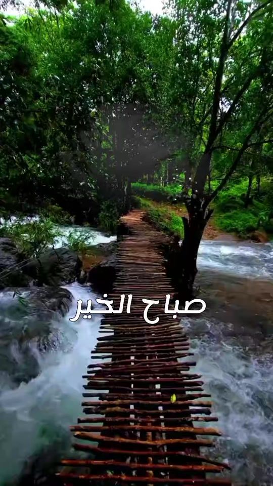 TikTok video thumbnail by rubazamoot3