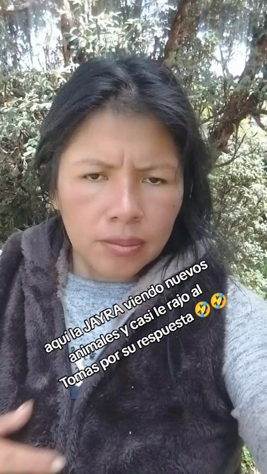 TikTok video thumbnail by julia.larico