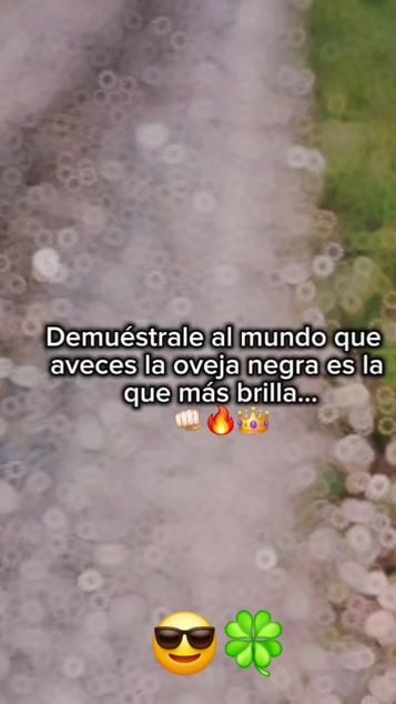 TikTok video thumbnail by antonio.elnica.505