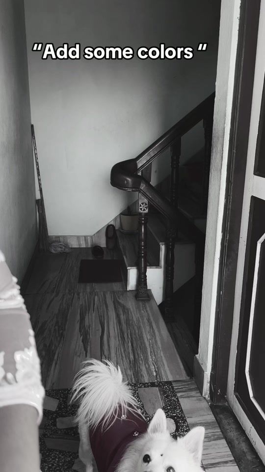 TikTok video thumbnail by puntu18