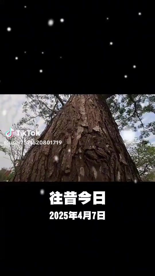 TikTok video thumbnail by aa19690728