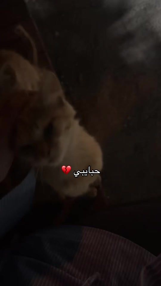 TikTok video thumbnail by yumnahass