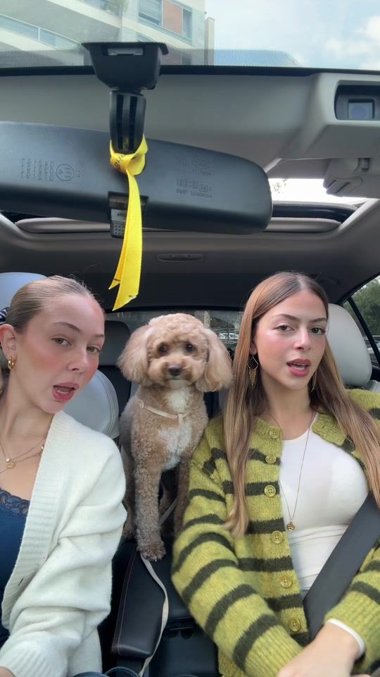 TikTok video thumbnail by arielspeyer