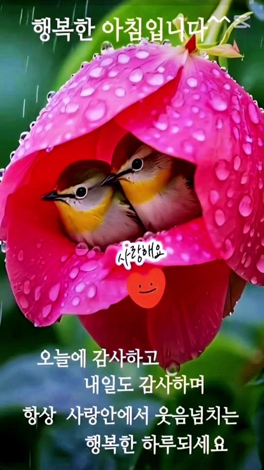 TikTok video thumbnail by kim..256733