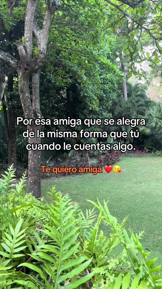 TikTok video thumbnail by pablito.mom