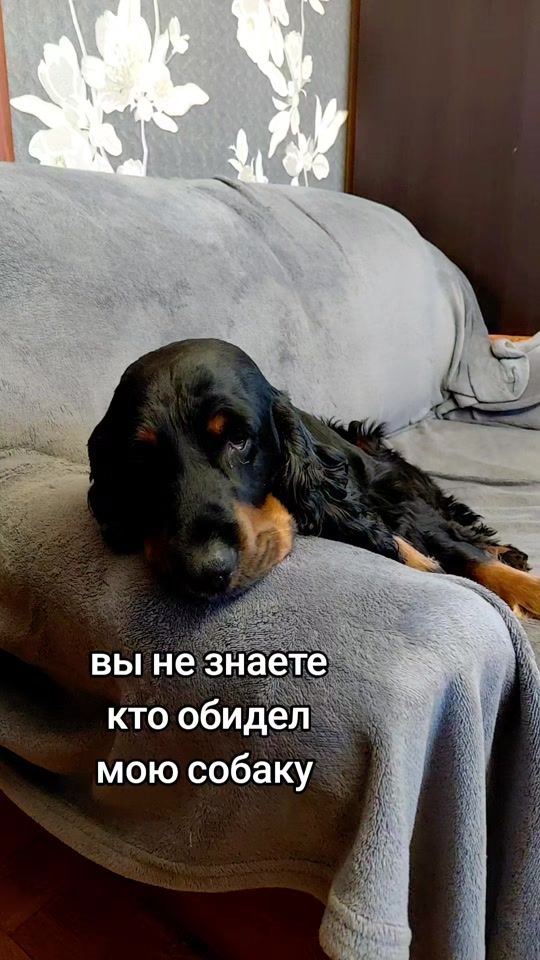 TikTok video thumbnail by oarlova83