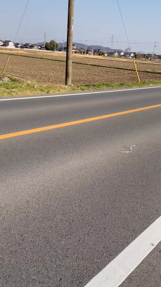 TikTok video thumbnail by asukas_