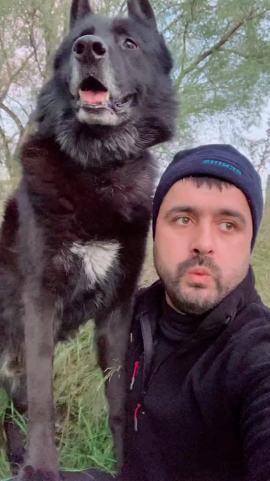 TikTok video thumbnail by serkanterzi0