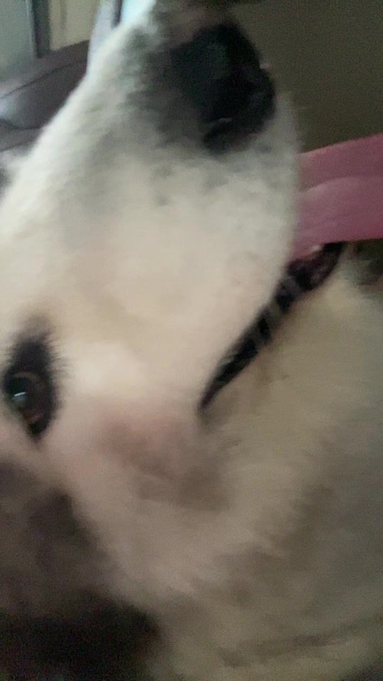 TikTok video thumbnail by hi.immerida