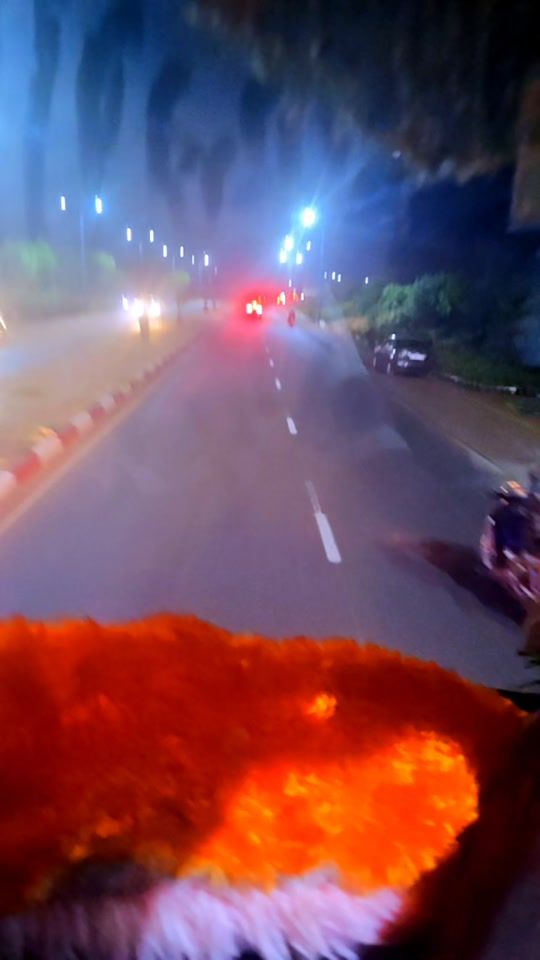 TikTok video thumbnail by adamadamis32