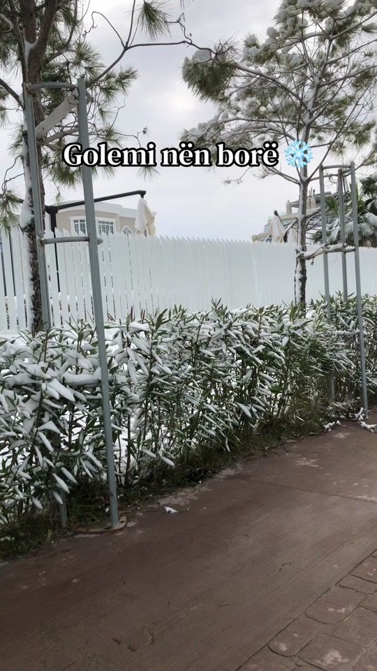 TikTok video thumbnail by exploregolem