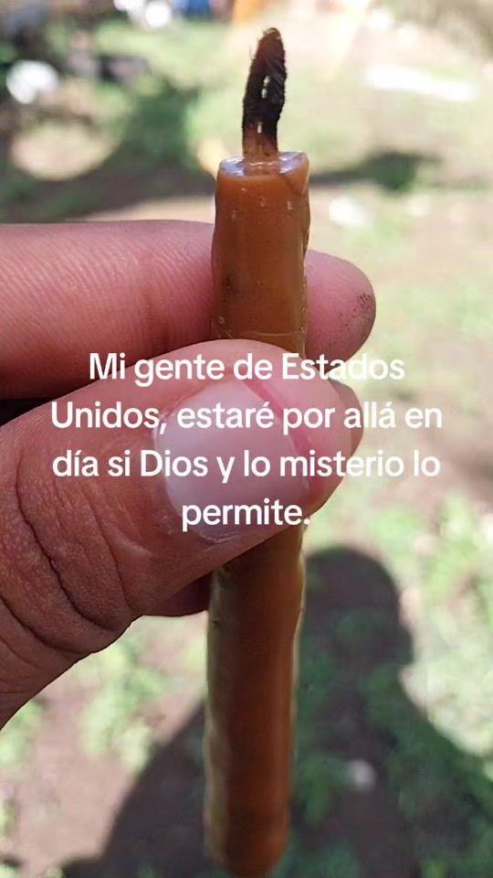 TikTok video thumbnail by amoryliberta