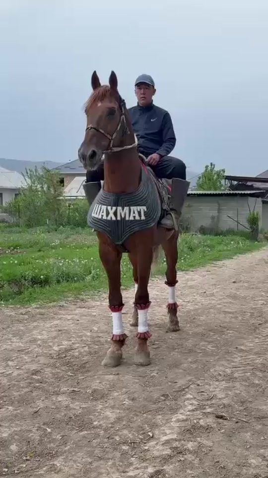 TikTok video thumbnail by kambar169