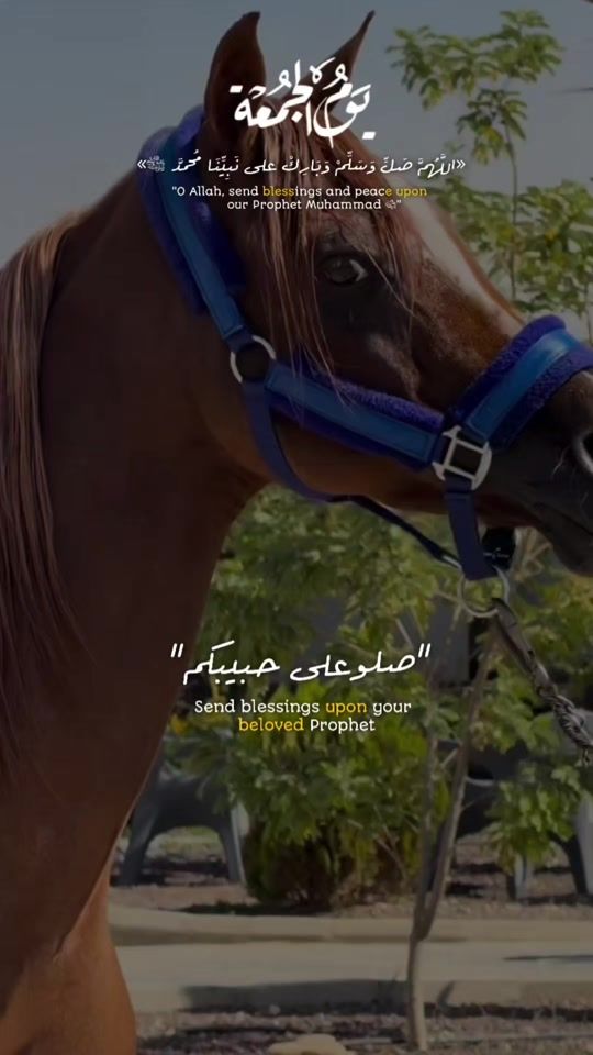 TikTok video thumbnail by fwaa1