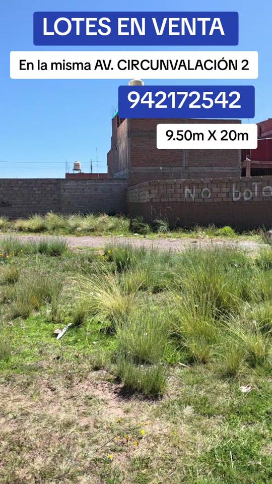 TikTok video thumbnail by thegoldentree